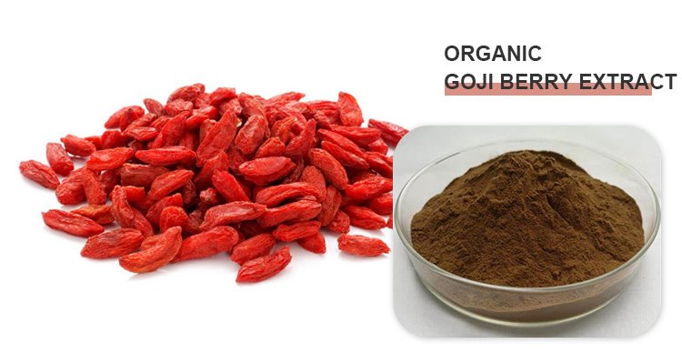 Goji Berry Extract Powder.jpg